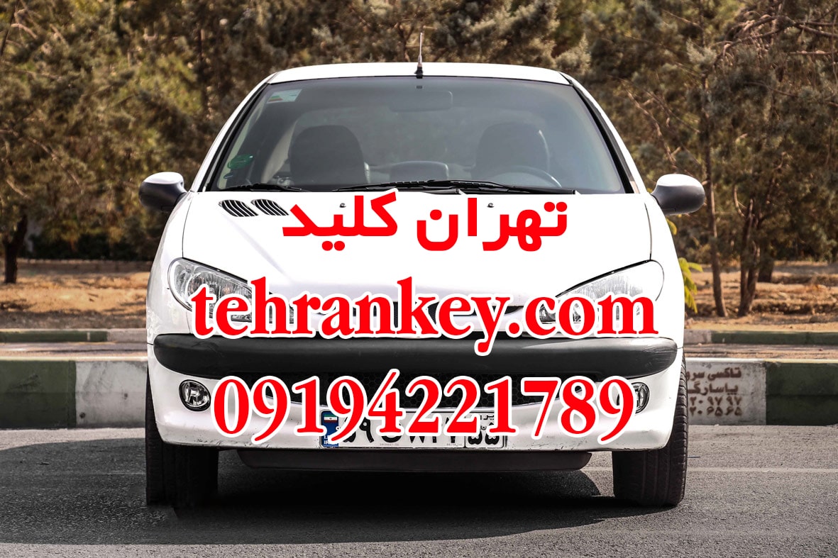 باز کردن درب پژو ۲۰۶